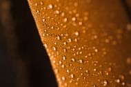Copper water (Image via Freepik)